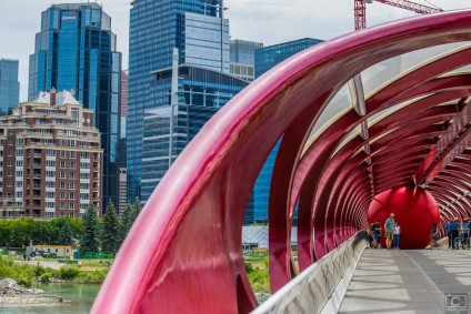 4 best moving companies in Calgary