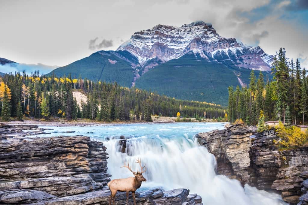 The waters of a melting mountain glacier feed the seething water
