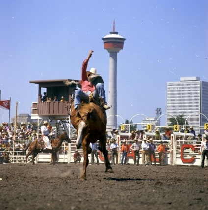 5 little known facts about Calgary, Alberta