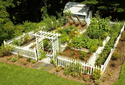 inspiration backyard garden