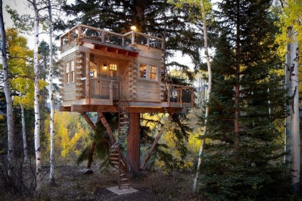extreme tree forts for adults