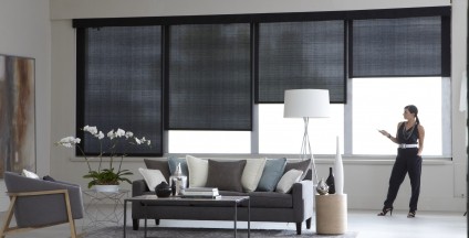 automated blinds deter thieves