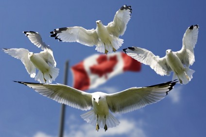interprovincial migration Canada