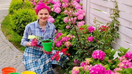 curb appeal with bright flowers Bright beautiful garden woman planting pink flowers naturescaping xeriscaping Zolo