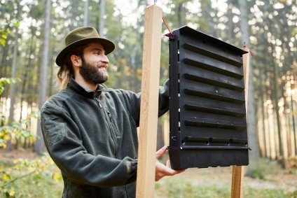 installs a new bark beetle trap for pest control