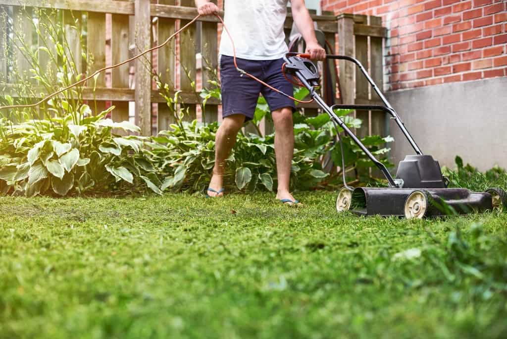 maintain your outdoor space