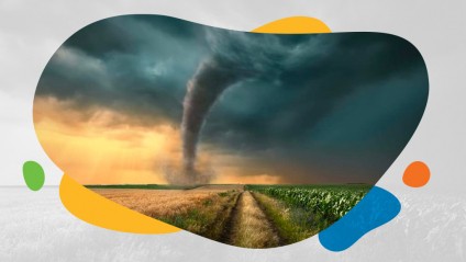 Dark clouds and a tornado sweep across wide open corn fields