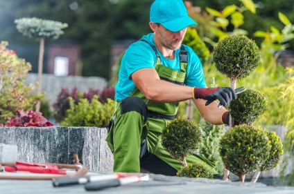outdoor home maintenance