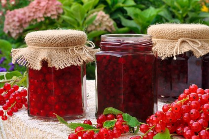 Staple urban homestead red currant jam Zolo