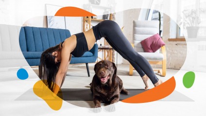 renter does yoga