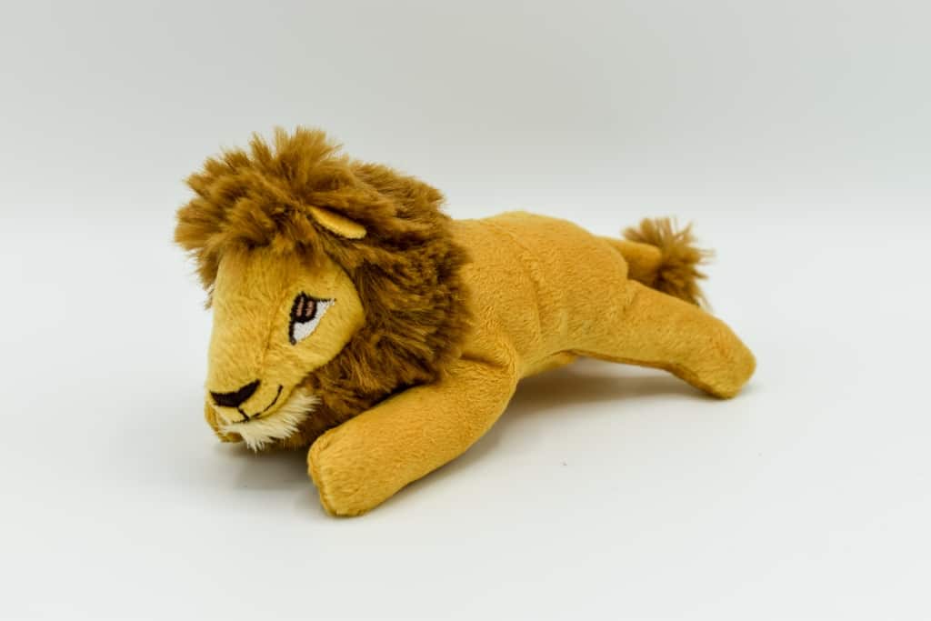 Lion stuffed toy teddy isolated on white background