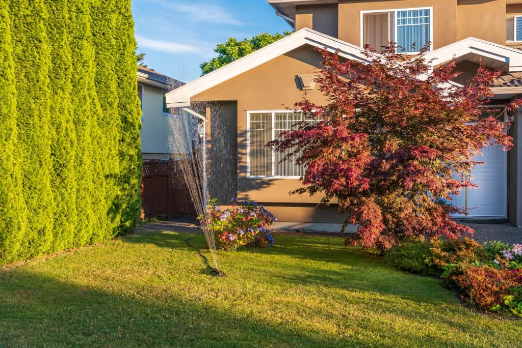 deep watering lawn repair