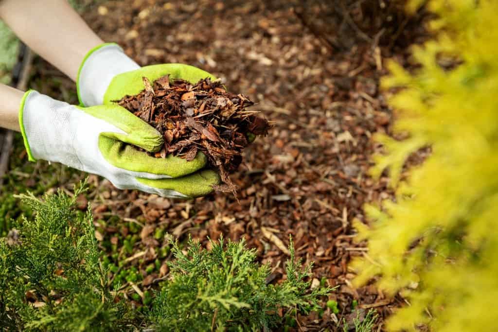 how to use mulch
