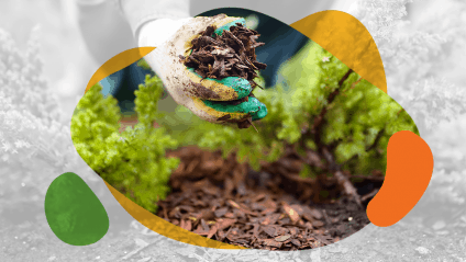 how to use mulch