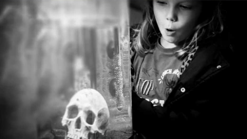 Young girl looking at a skeleton in a glass jar with awe