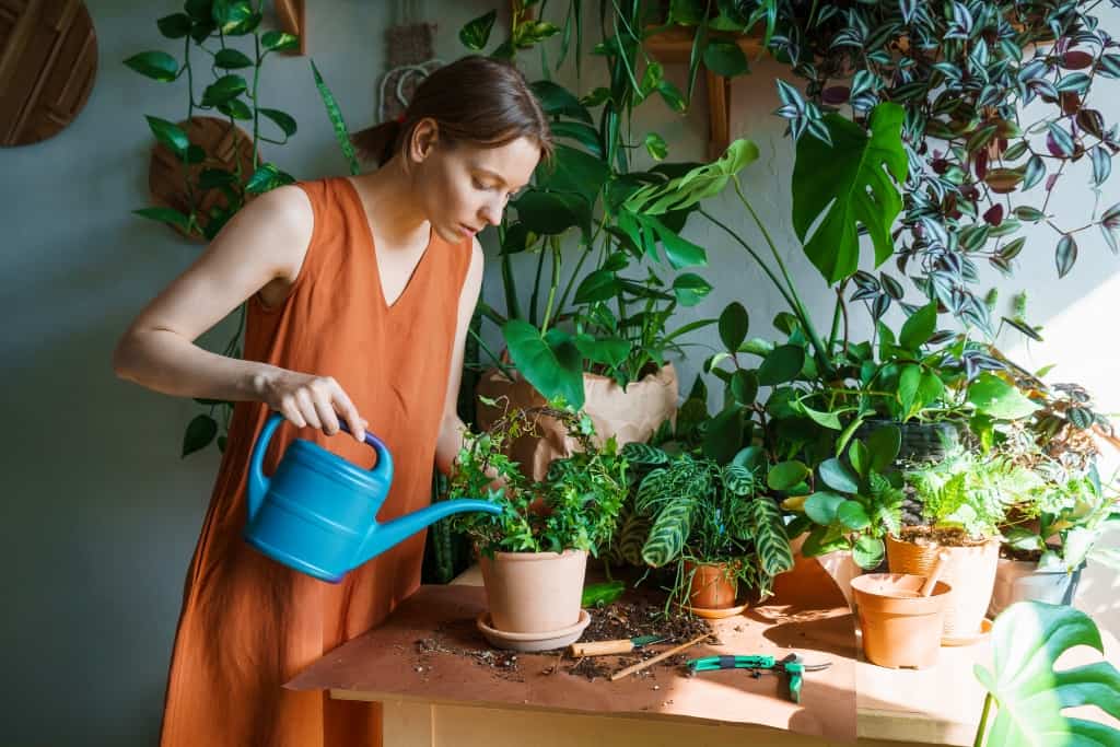 Plant shelf ideas for homeowners