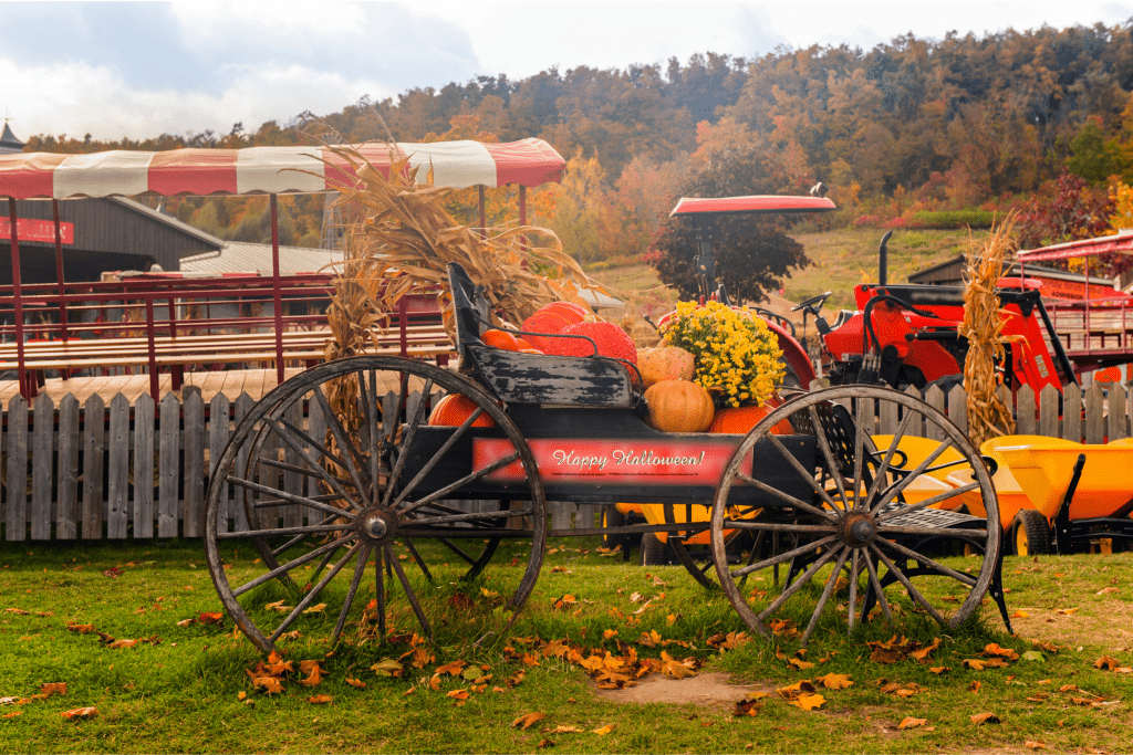 fall farm tour