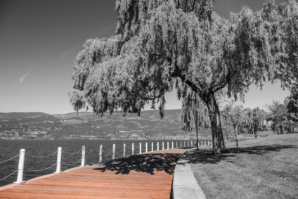 the best neighbourhoods to buy a home in Kelowna BC